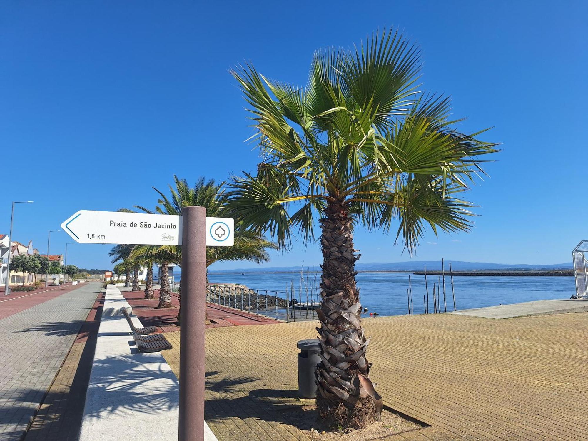 Apartment Close To The Ria De Aveiro, Sao Jacinto Bagian luar foto