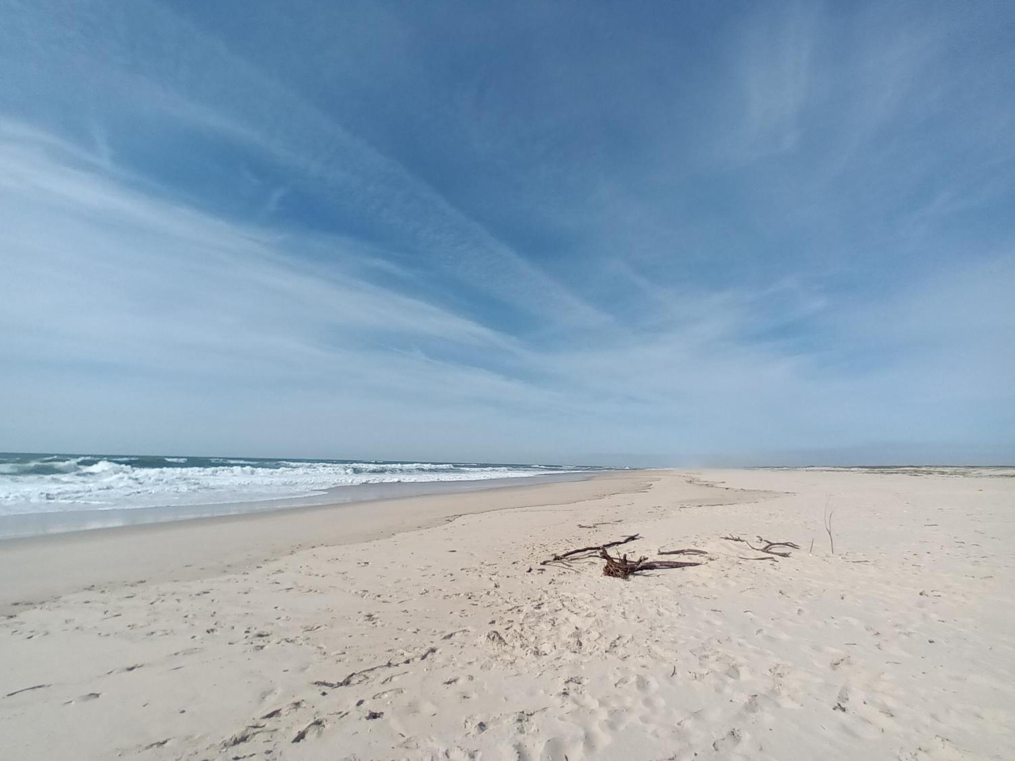 Apartment Close To The Ria De Aveiro, Sao Jacinto Bagian luar foto